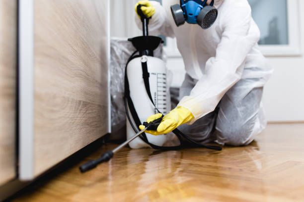 Best Wildlife Control Services  in Discovery Bay, CA