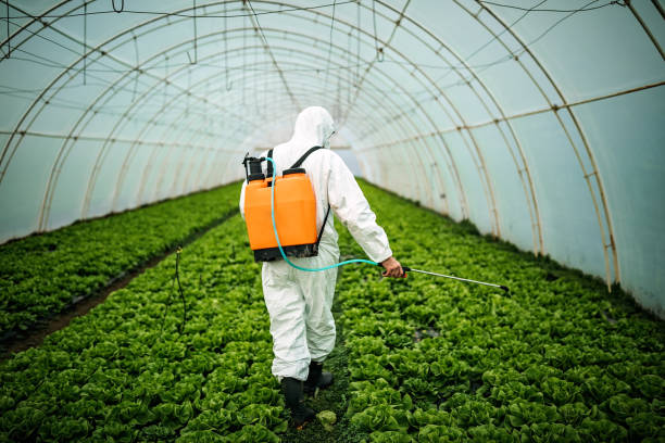 Best Pest Prevention Services  in Discovery Bay, CA