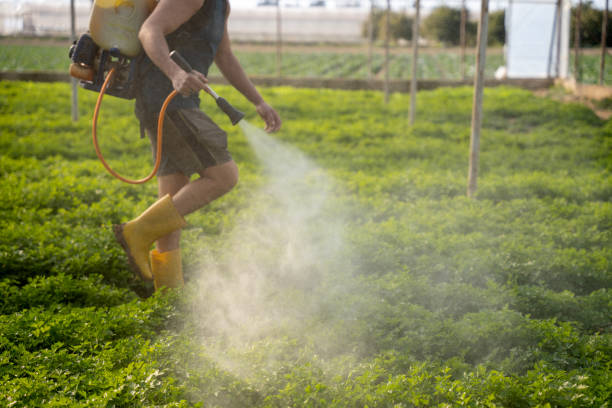 Best Pest Removal Services  in Discovery Bay, CA