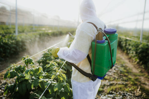 Best Best Pest Control Companies  in Discovery Bay, CA